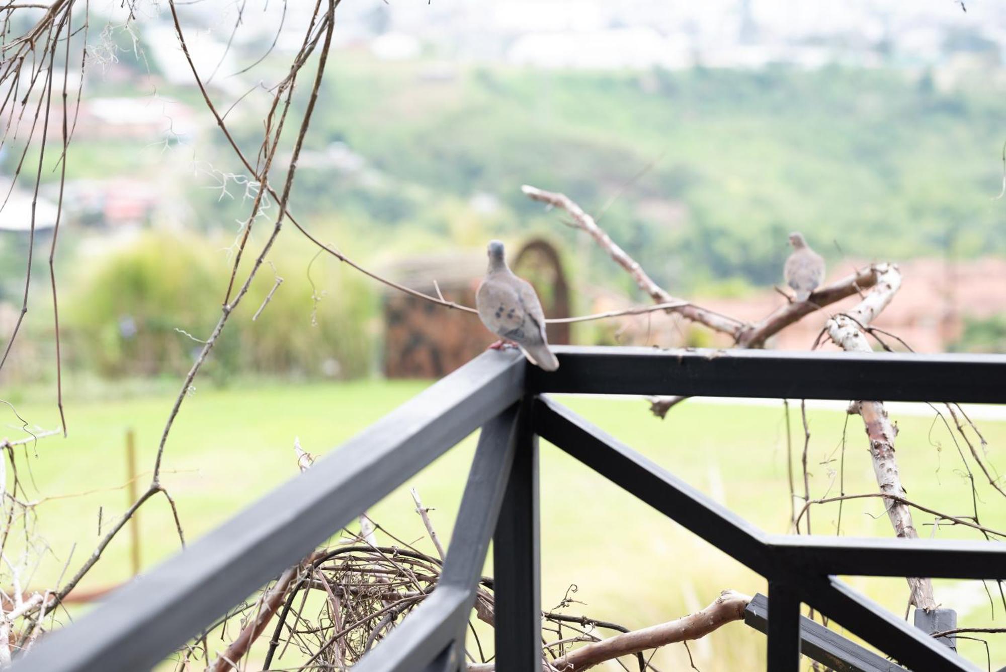 Hotel Pachamama Campestre Dosquebradas 外观 照片